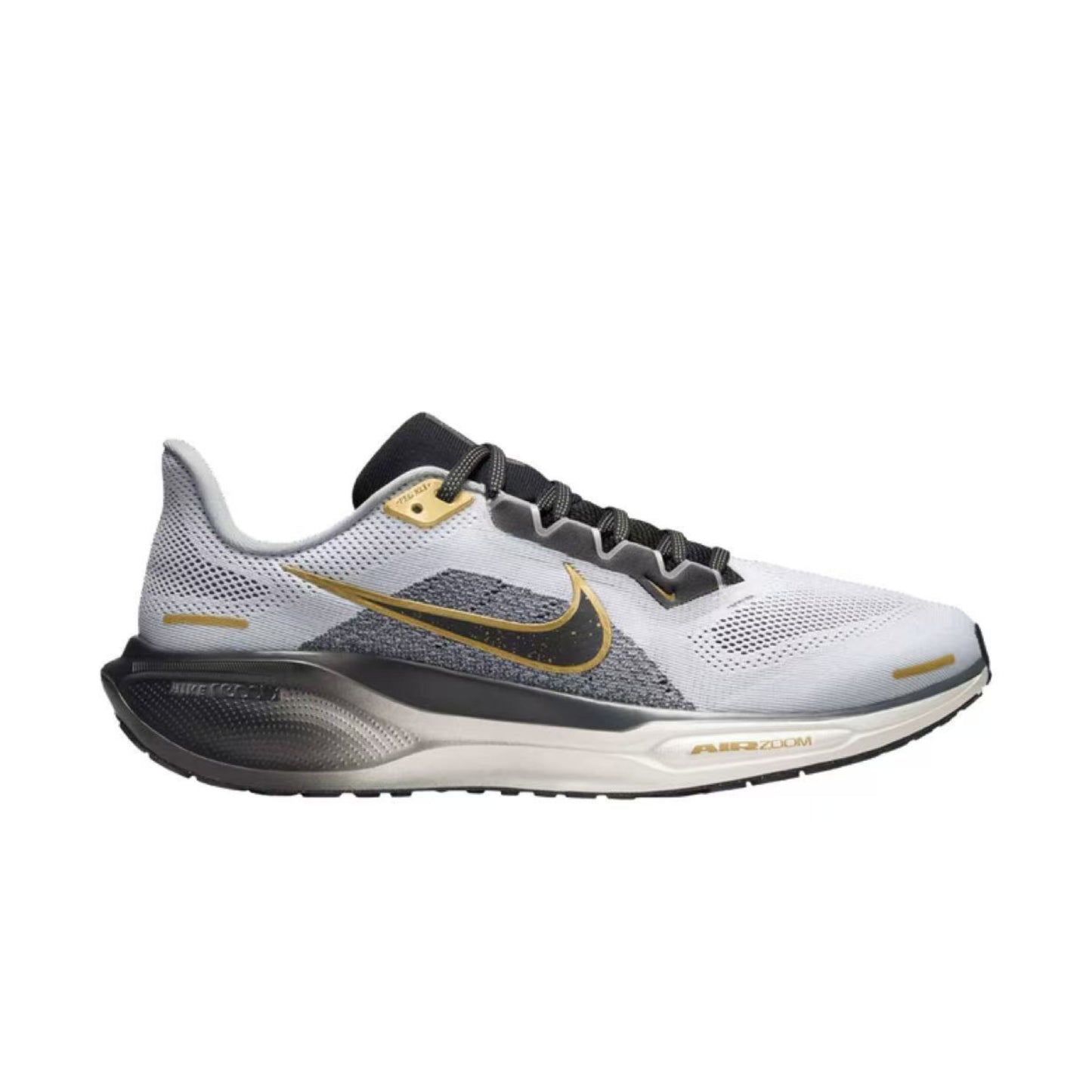 Pegasus 41